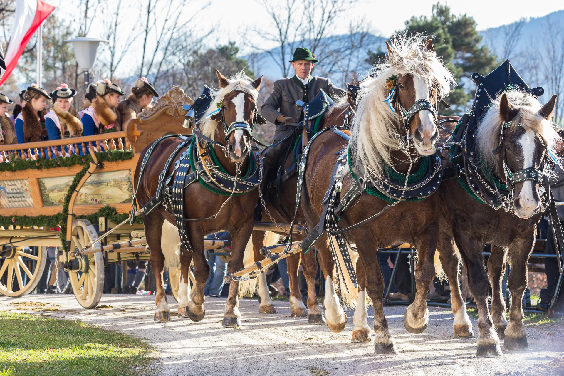 Fotoreportage: Pferdegespann mit Kastenwagen, darin Frauen mit bayerischer Tracht. Reportagefotografie von photo-genic.