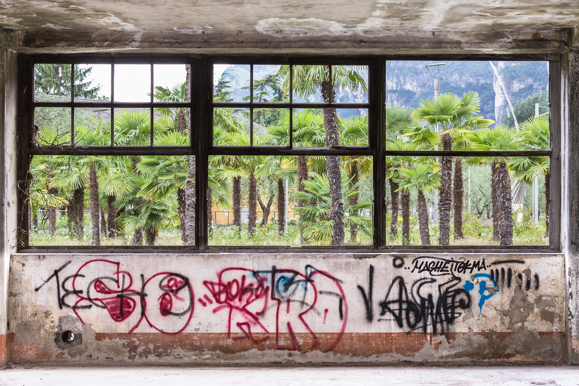 Graffitis an den Innenwänden eines verlassenen Gewerbebaus. Fotoreportage von photo-genic.