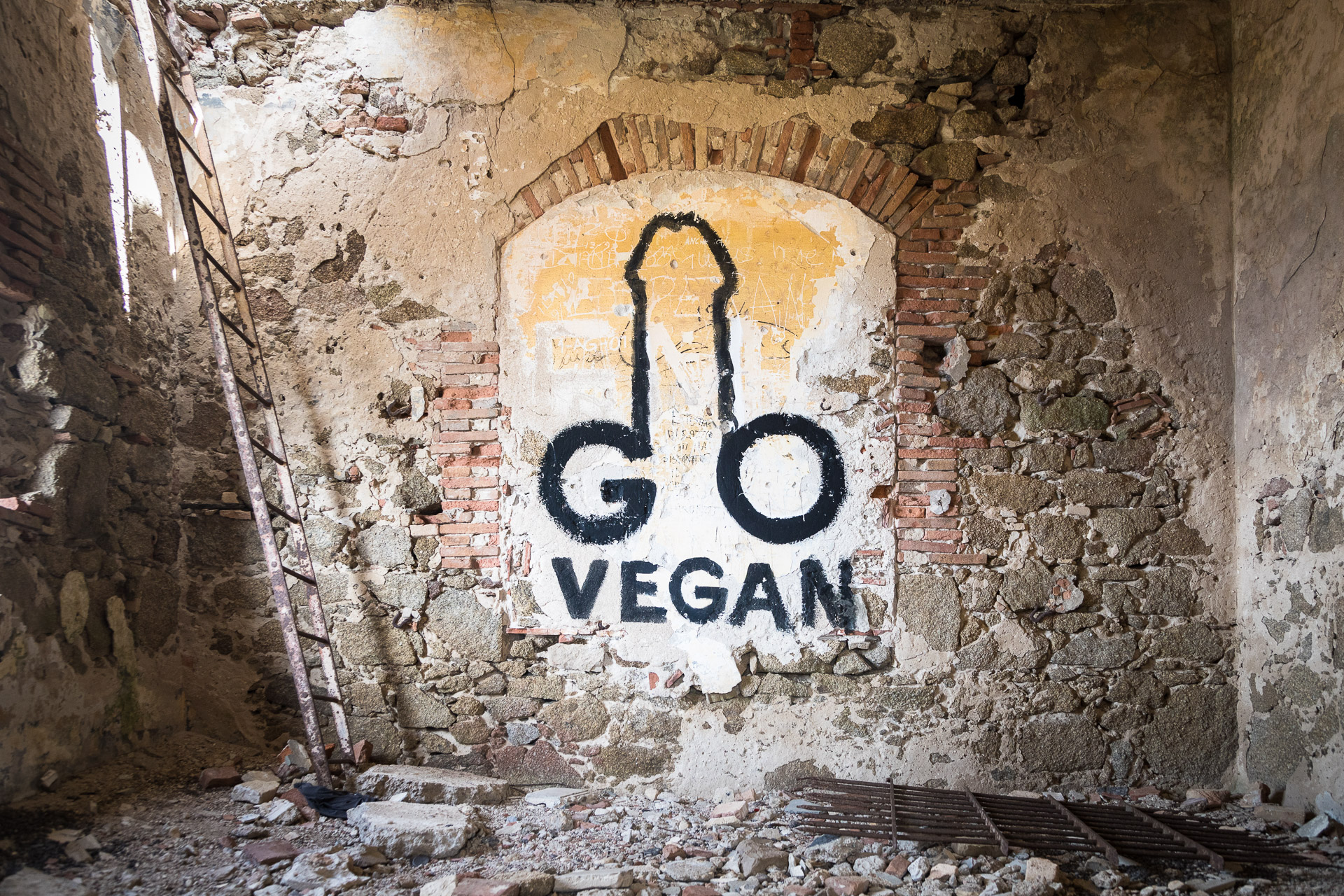 Fotoreportage von photo-genic: Innenraum einer Ruine aus Backstein. Ein Graffiti an der Wand zeigt Phallussymbol mit dem Text: GO VEGAN